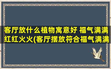 客厅放什么植物寓意好 福气满满红红火火(客厅摆放符合福气满满红红火火寓意的植物大全)